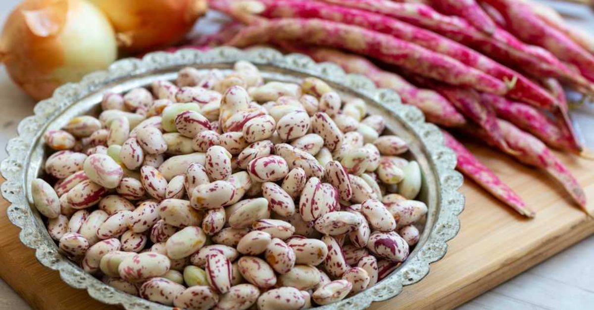 Cranberry Beans