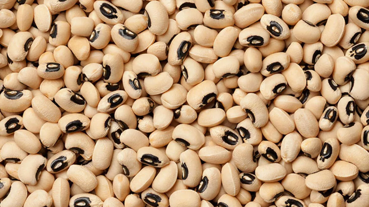 Lima Beans