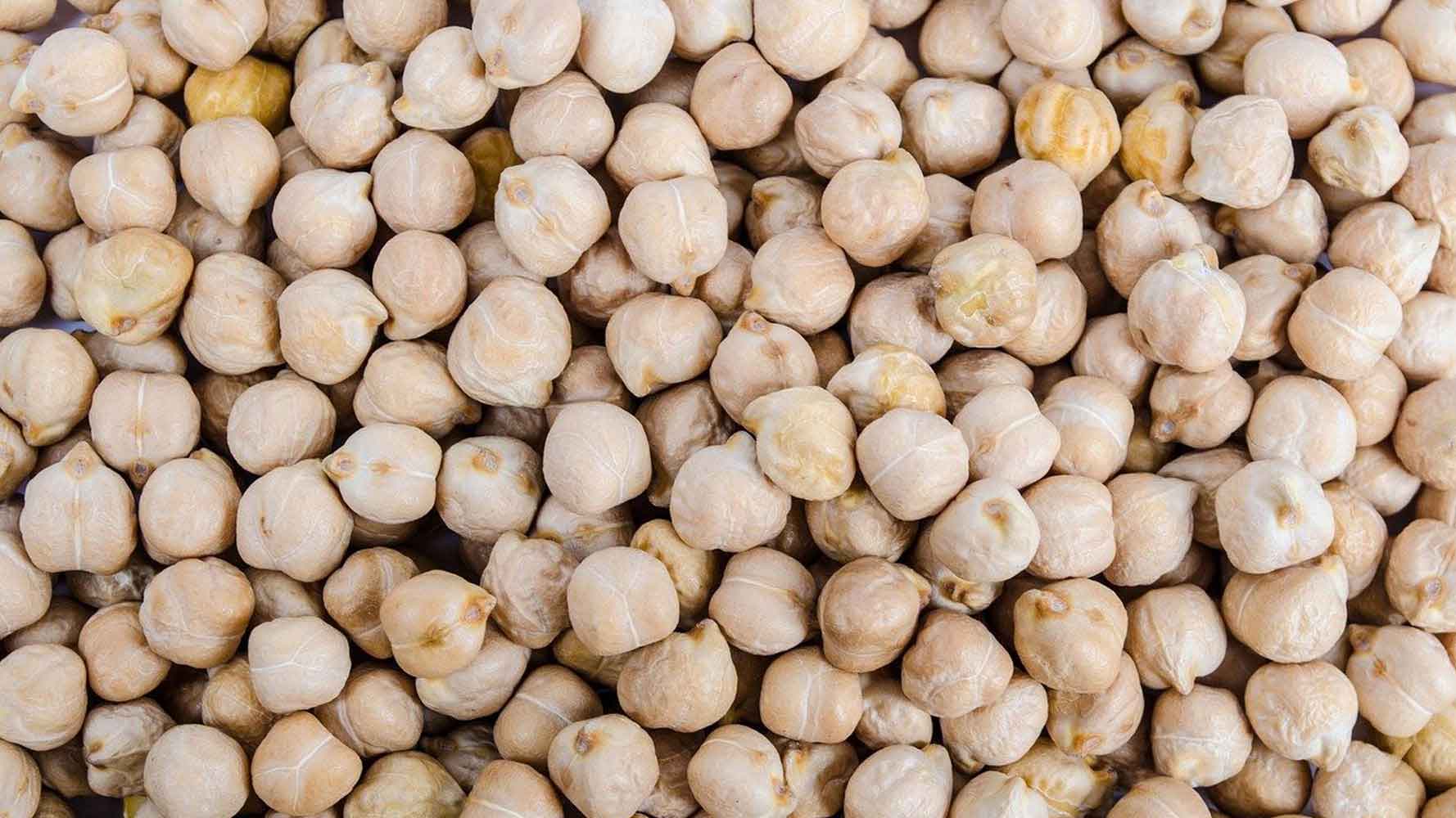Canadian Chickpeas